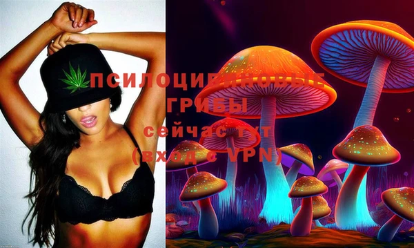 соль курить ск Алзамай
