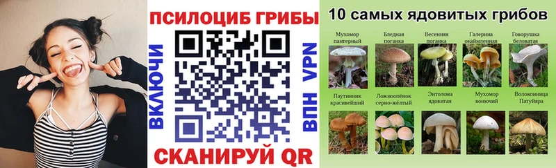 Псилоцибиновые грибы GOLDEN TEACHER Купить Старая Купавна